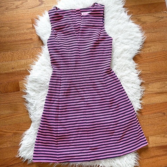 Lilly Pulitzer Brielle Fit and Flare Dress - Pink and Navy Stripe | Size XS - Picture 2 of 9